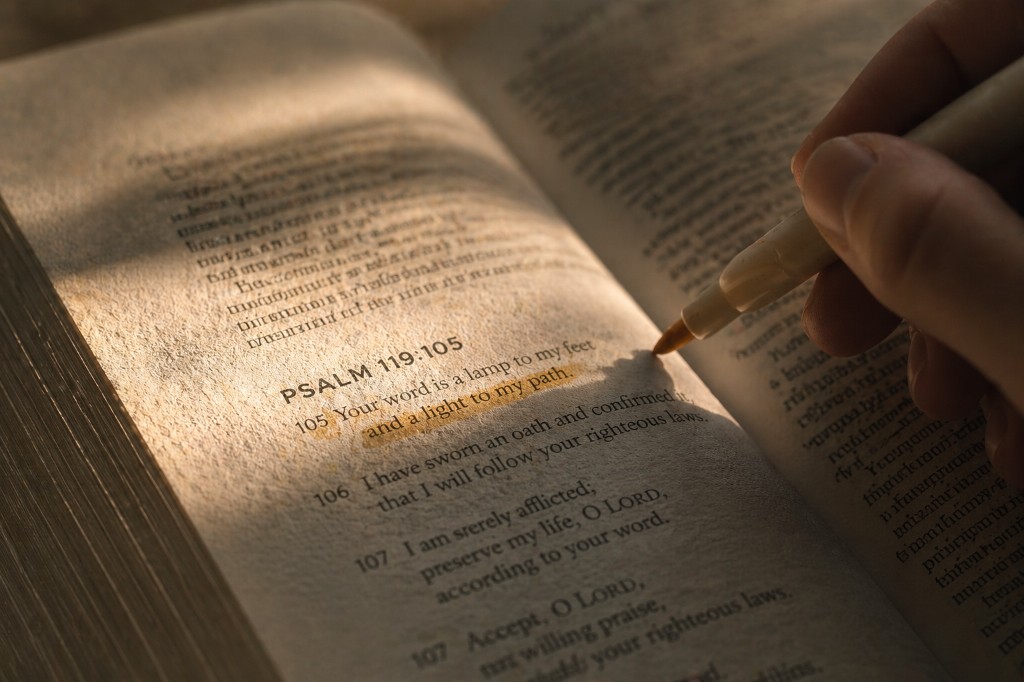 Grounded Bible study resources — themes, people, and Scripture guides